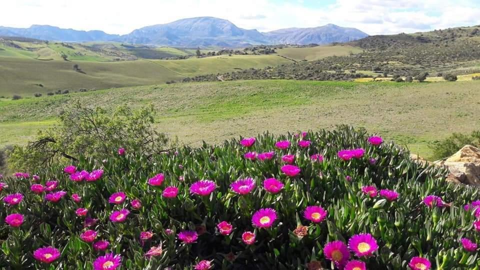 Casa Al Cerro Lejlighed Álora Eksteriør billede