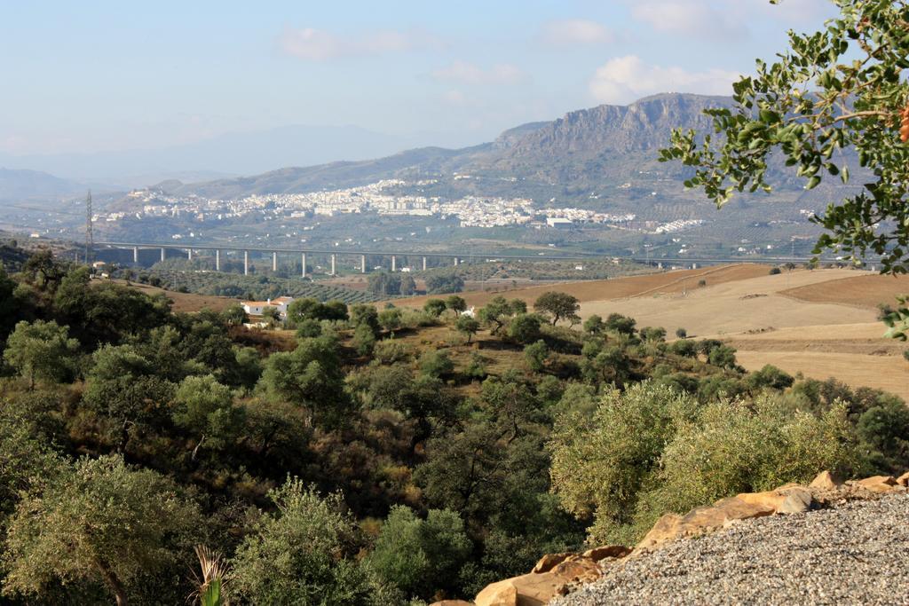 Casa Al Cerro Lejlighed Álora Værelse billede